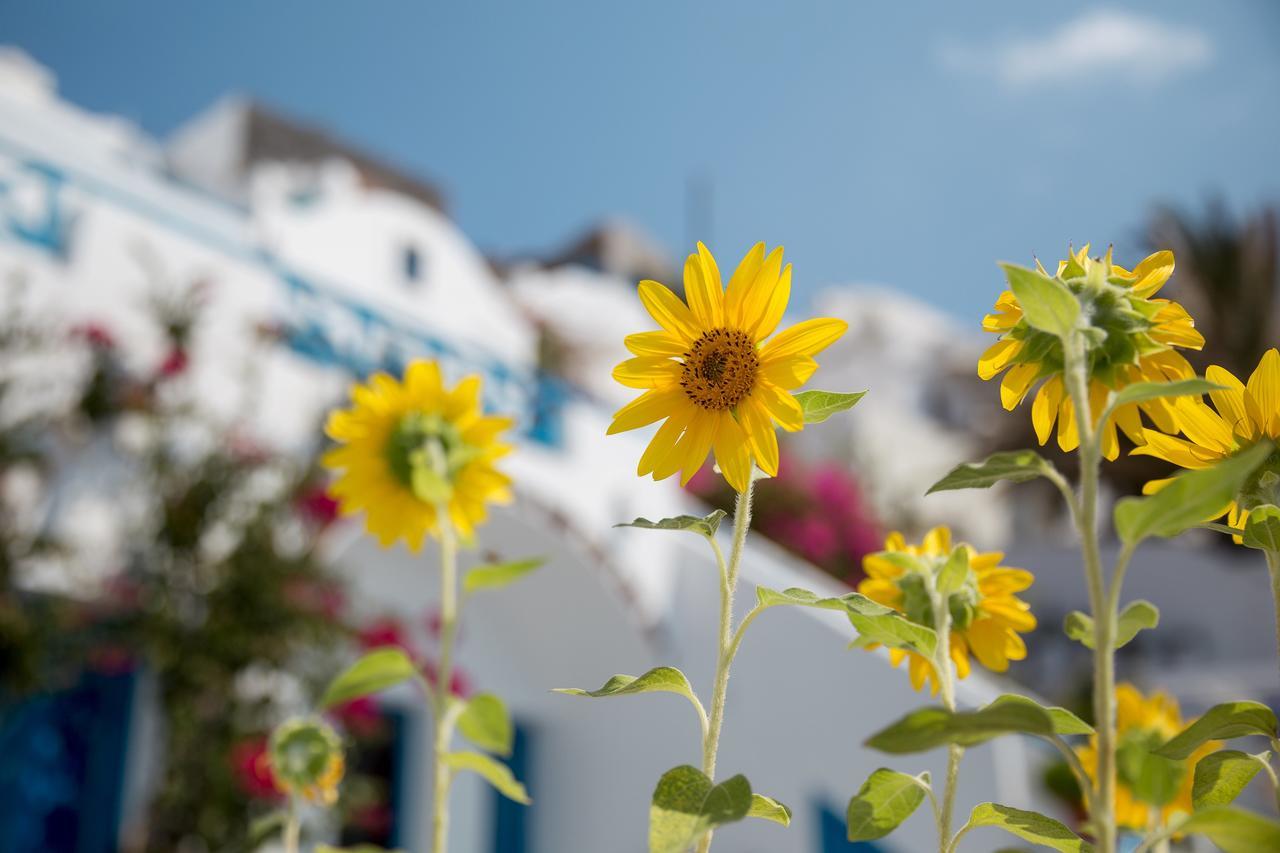 Annio Santorini Apartment Imerovigli  Bagian luar foto